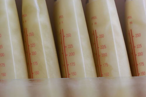 保定紅星宣紙 傳統(tǒng)與創(chuàng)新的交融——不干膠紙防偽技術(shù)開發(fā)與銷售新篇章